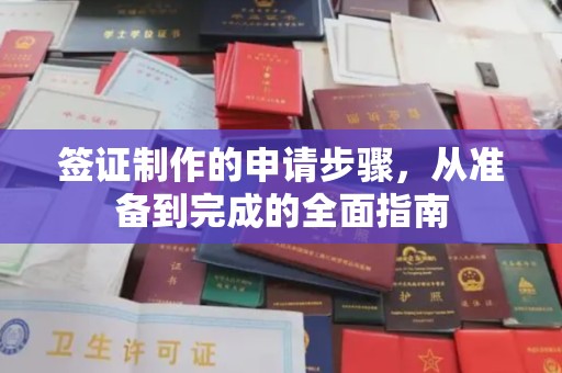 正阳签证制作的申请步骤，从准备到完成的全面指南